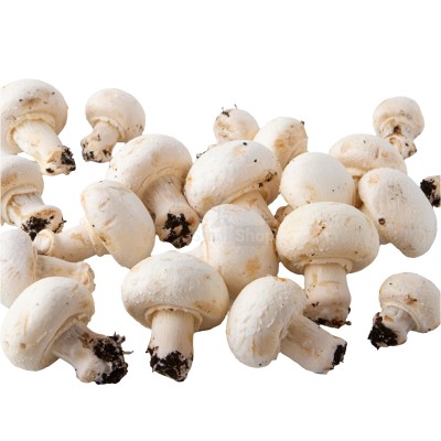 Шампиньоны свежие 500 г - купить в Кузкеево